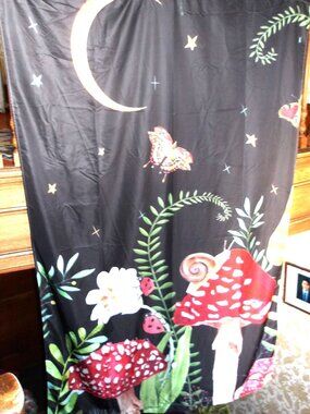 Drape ~~~ EVENING SCENE ~~~